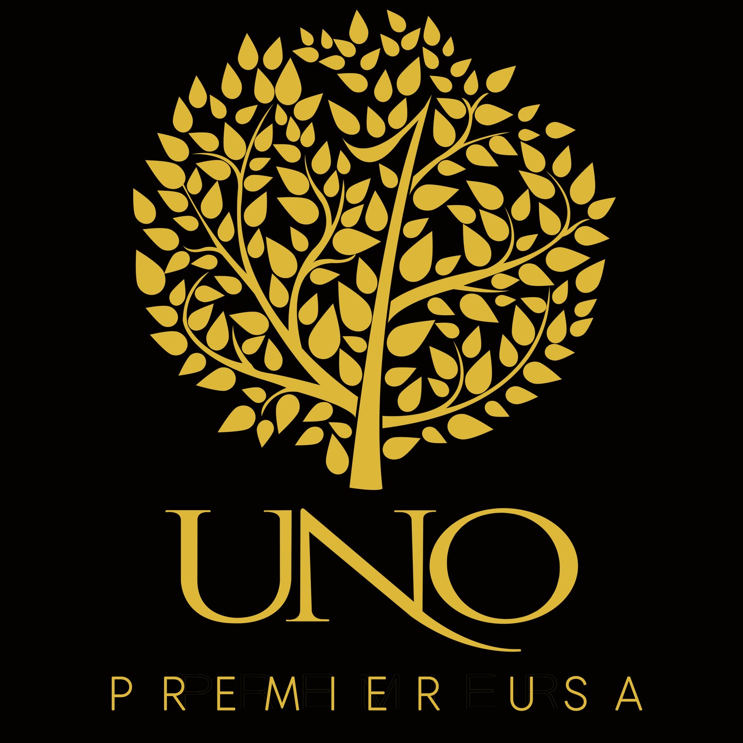 USA Premier UNOpreneur Package